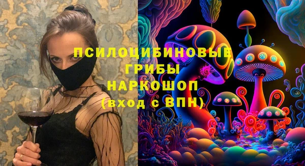 дурь Ладушкин