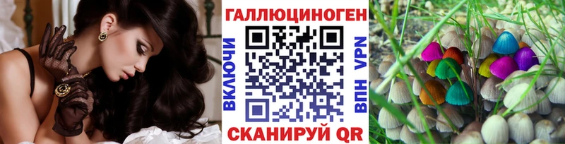 Псилоцибиновые грибы Cubensis  продажа наркотиков  Нальчик 