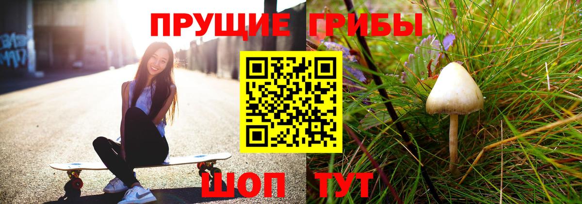 Псилоцибиновые грибы GOLDEN TEACHER  Вход с VPN  Нальчик 