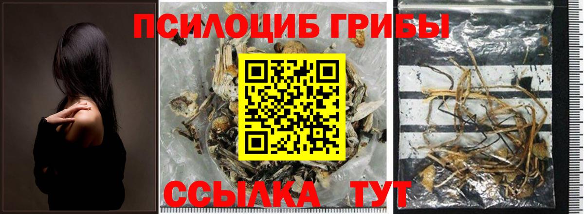 Галлюциногенные грибы Magic Shrooms Нальчик