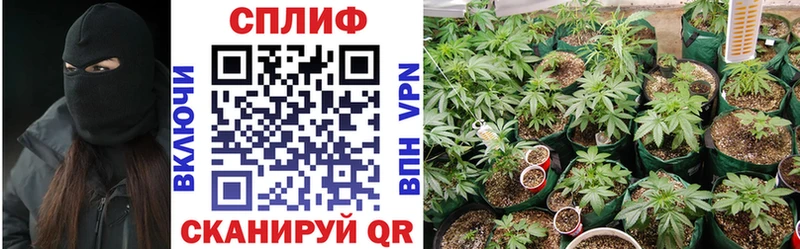 Бошки Шишки тримм  даркнет сайт  Нальчик 